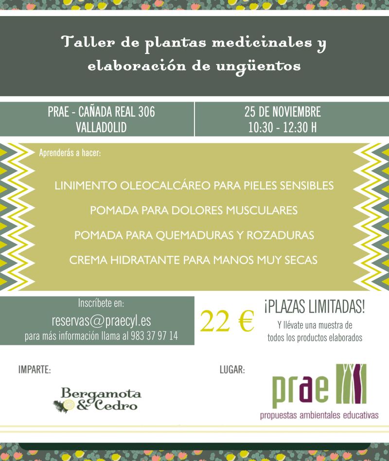 Taller de plantas medicinales y elaboración de ungüentos